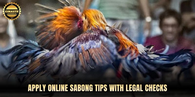 Apply Online sabong tips with legal checks