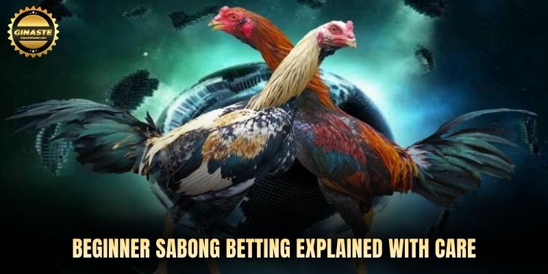 Beginner sabong betting explained with care