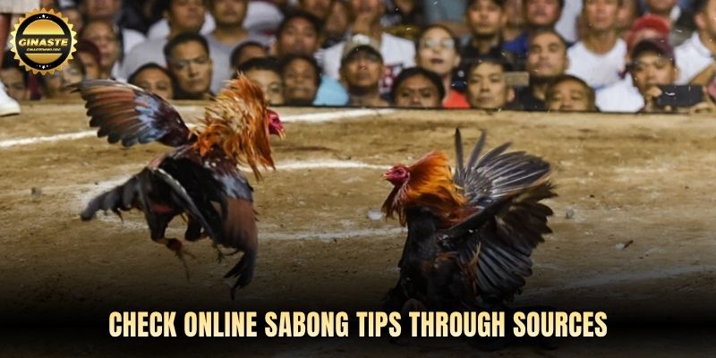 Check Online sabong tips through sources