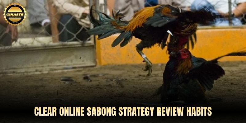 Clear Online sabong strategy review habits