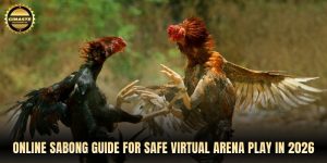 Online sabong guide