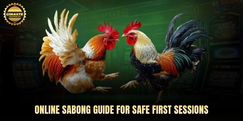 Online sabong guide for safe first sessions