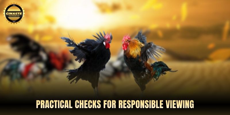 Practical checks for responsible viewing