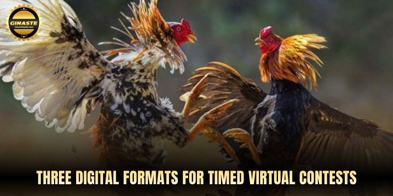 Three digital formats for timed virtual contests